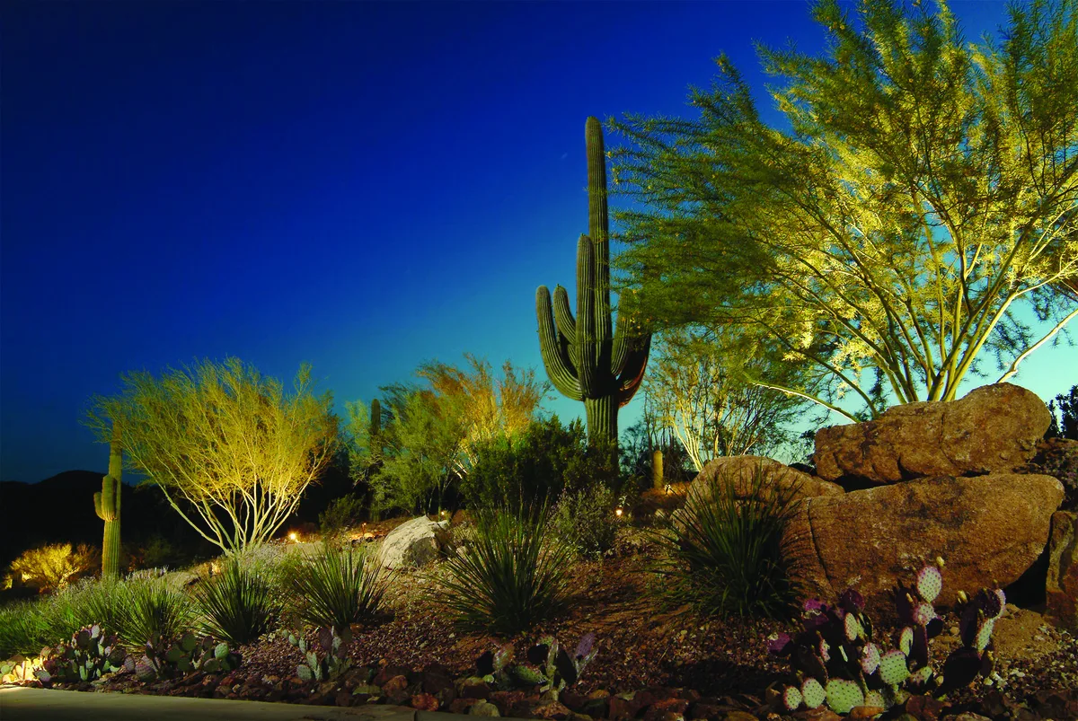 Boulders set into a planted slope, warmly lit against the night sky.