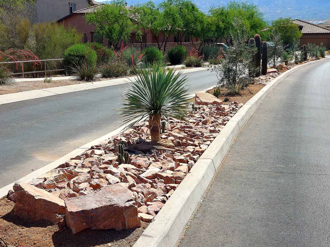 Agaves, flowering desert shrubs, young trees, and riprap fill the Hohokam Mesa entry median.