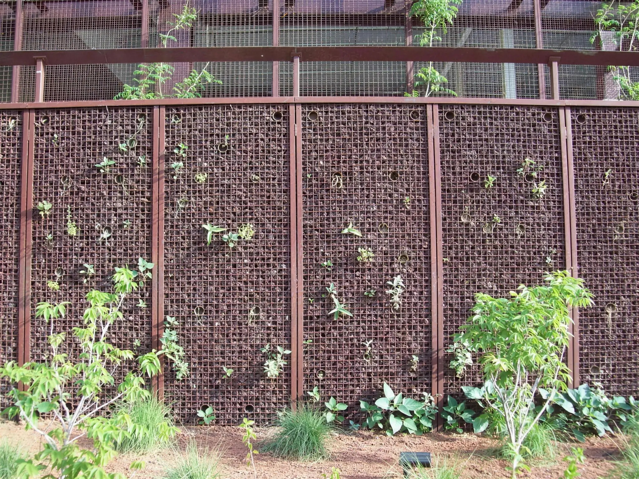 Young vines and desert plants establish along the patterned metal wall of the Phoenix Convention Center.