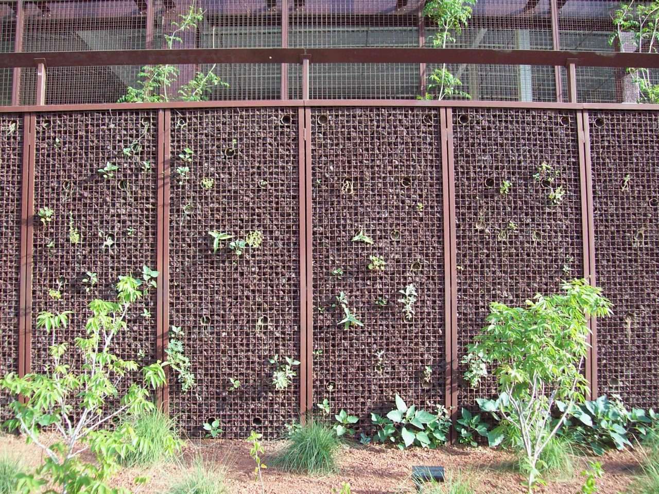 Young vines and desert plants establish along the patterned metal wall of the Phoenix Convention Center.