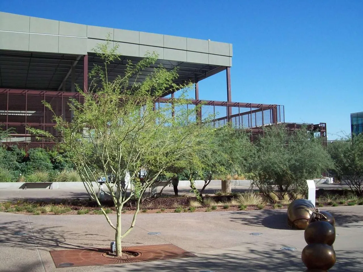 Palo verde trees and sculptural seating frame a sunny plaza at the Phoenix Convention Center.