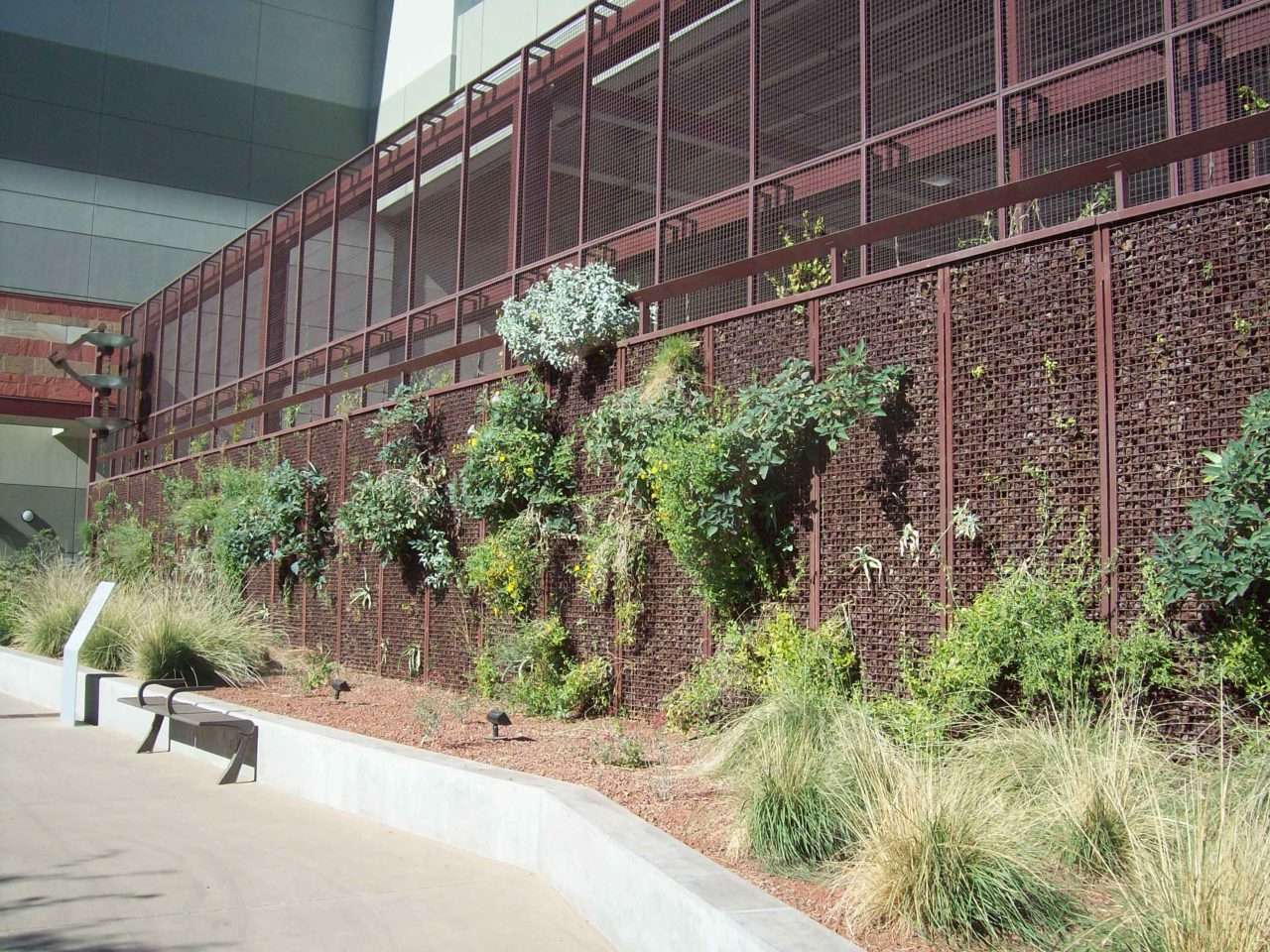 Established vines, flowering shrubs, and grasses soften the convention center metal wall.