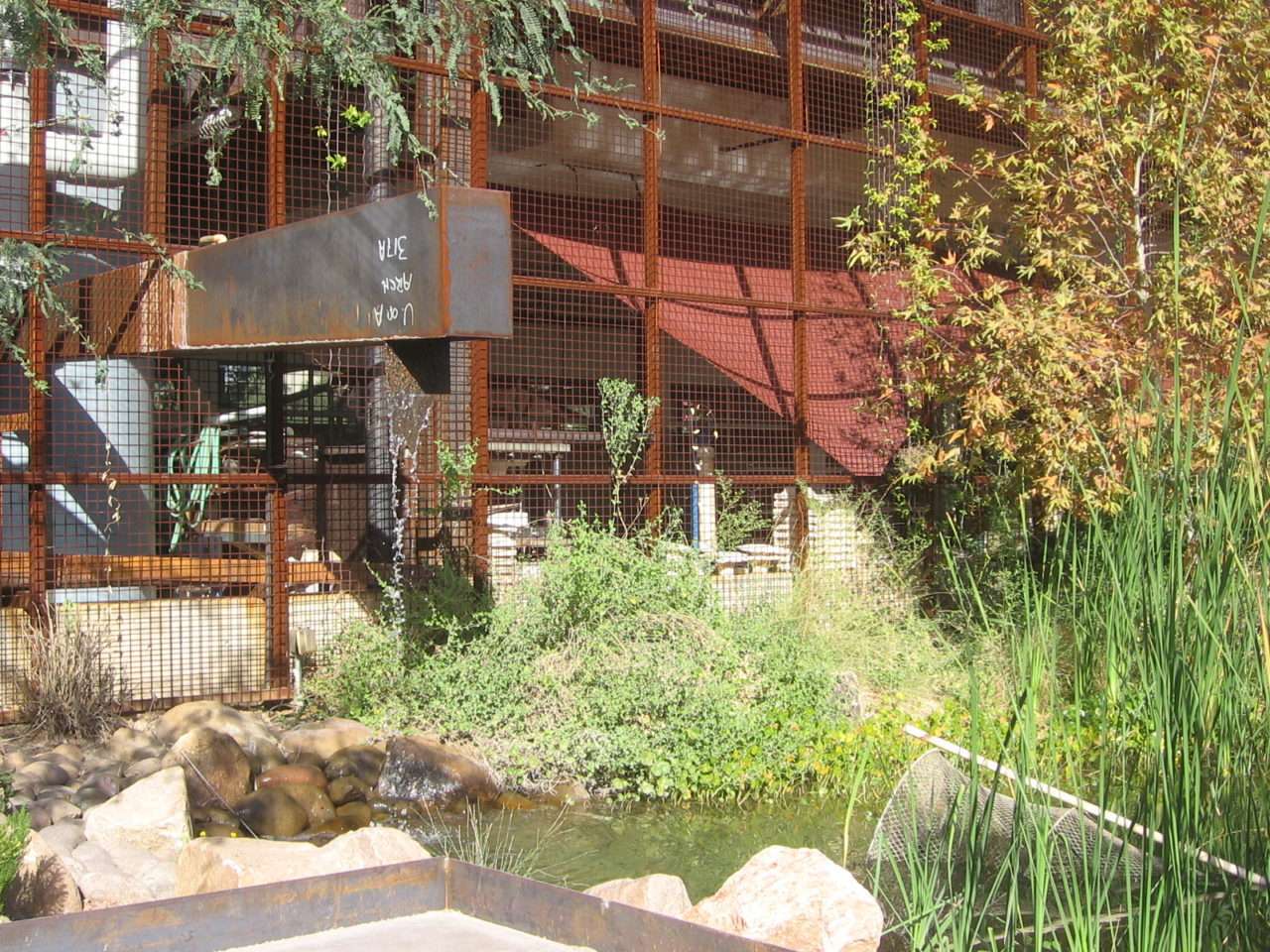 A planted pond and wetland edge meet the rust-colored screen of the University of Arizona architecture building.