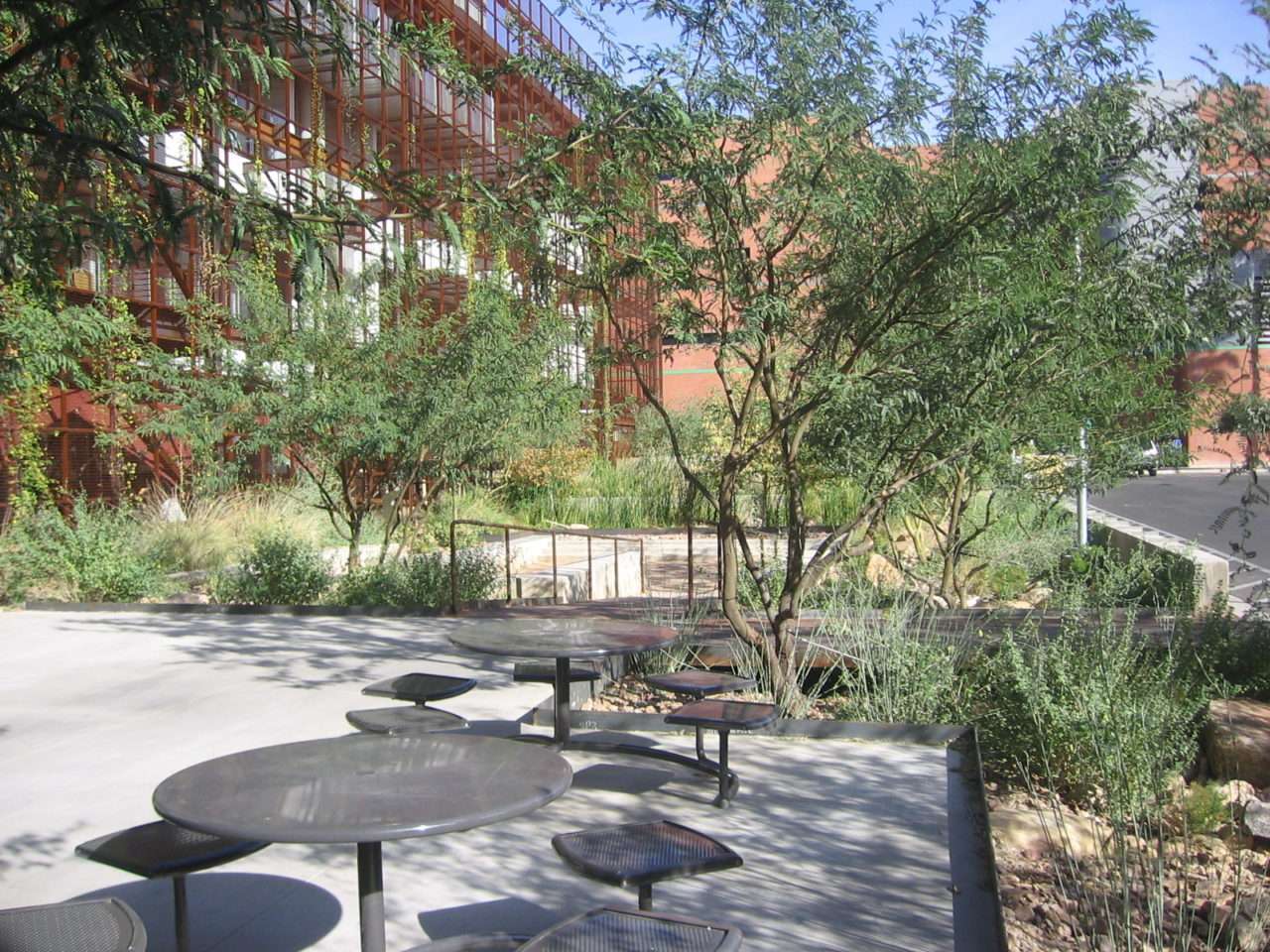 Round steel tables sit beneath mesquite shade in a desert garden courtyard.